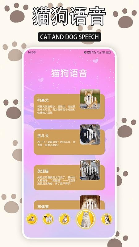 愛游貓（3）