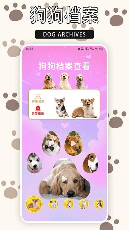 愛游貓（2）