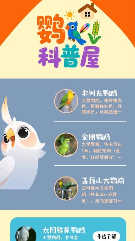 虎皮鸚鵡之屋（1）