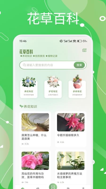 芙蓉花語(yǔ)（2）