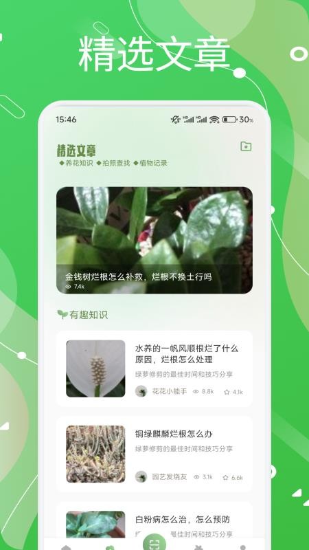 芙蓉花語(yǔ)（3）