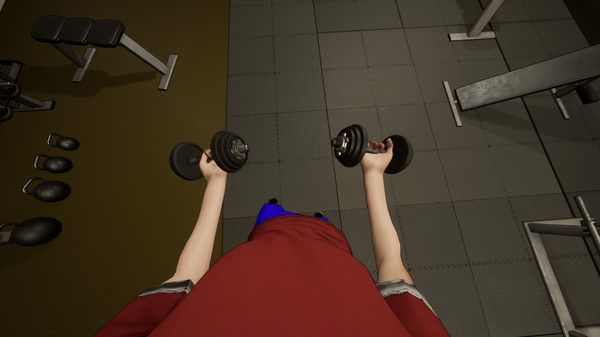 gym simulator（4）