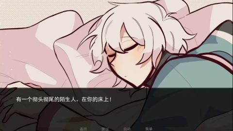 病嬌抱枕（0）