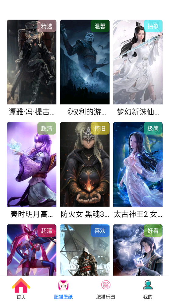 網(wǎng)肥貓（3）