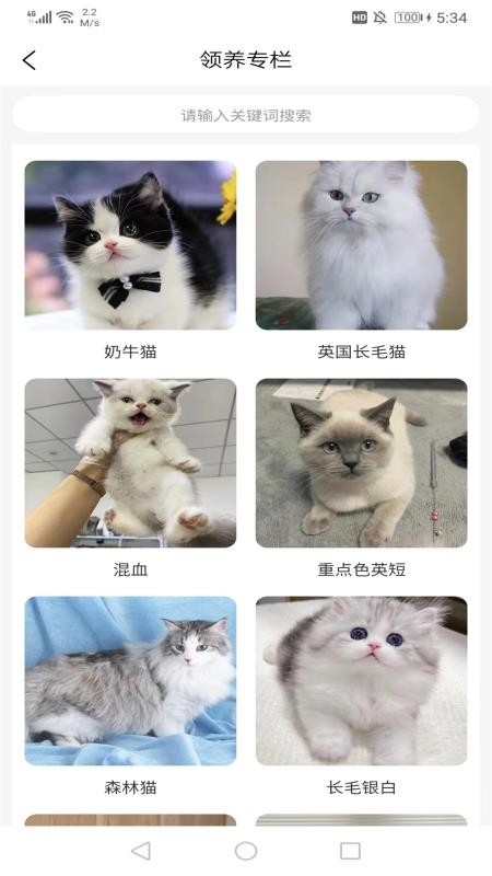 寵哩吖商城（3）