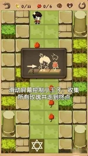 小王子（3）