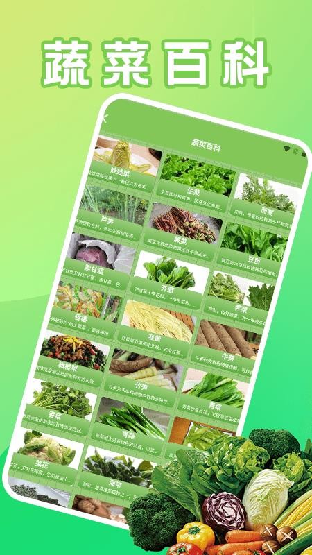 菜園大師好運(yùn)（0）