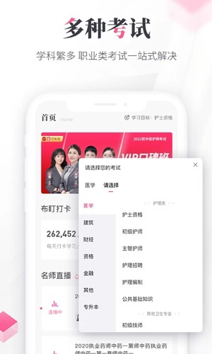 雪狐貍（1）