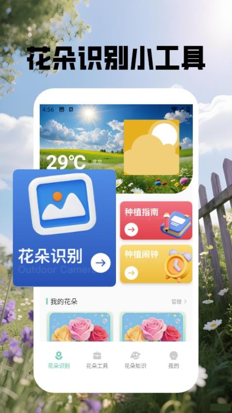 花朵物語(yǔ)識(shí)別（1）