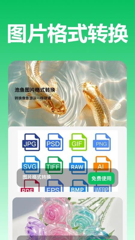 池魚圖片格式轉(zhuǎn)換（3）