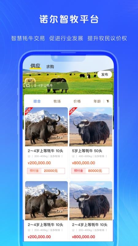 諾爾智牧（3）