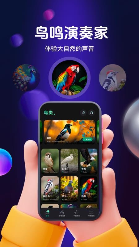 鳥(niǎo)兒搖鳴曲（2）