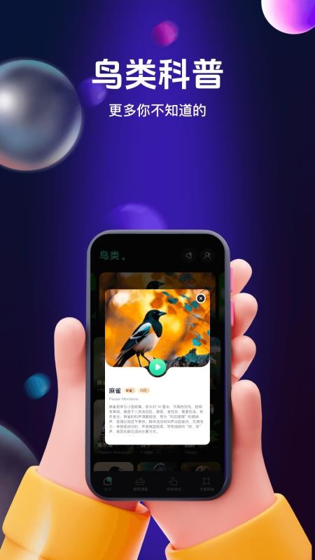 鳥(niǎo)兒搖鳴曲（0）