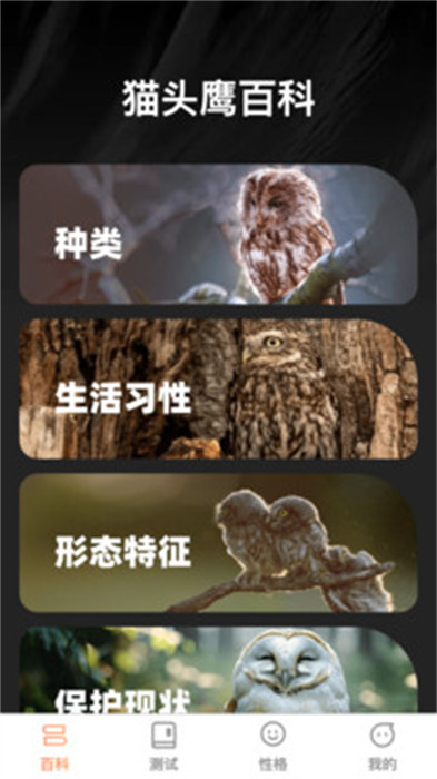 貓頭鷹趣識（1）