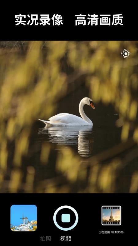 视频转实况（0）