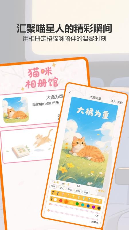 治愈貓咪（3）