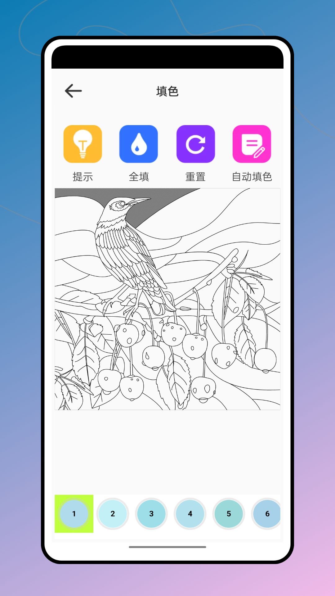 csp画画涂色指绘（3）