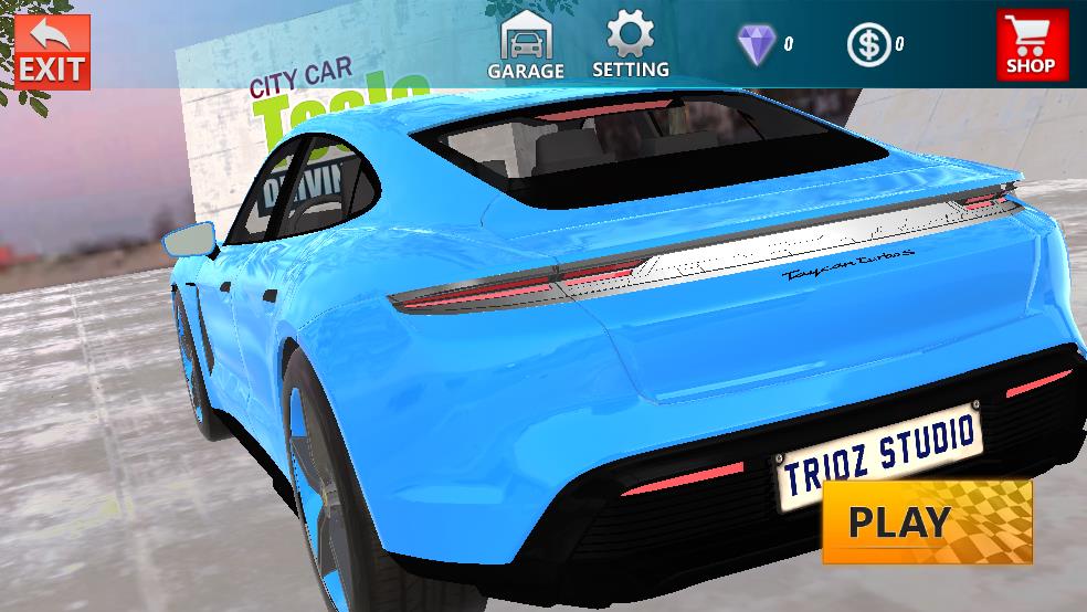 特斯拉電力車（2）