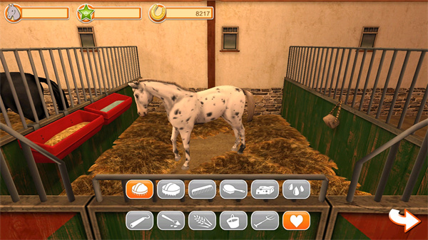 小馬的世界（2）