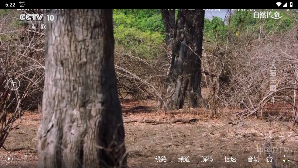 悠兔電視tv版安裝包（2）