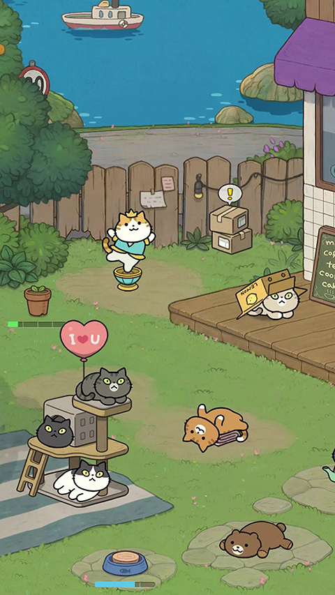 神秘貓咪字典（3）