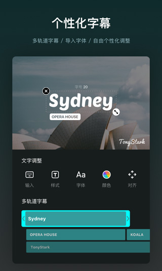 VN視頻編輯器（4）