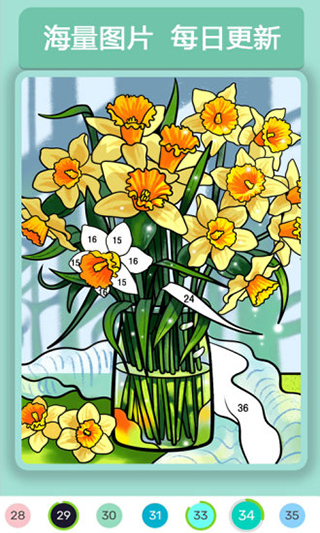 數(shù)字填色（2）