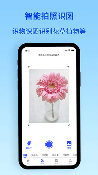 識別植物花草（0）