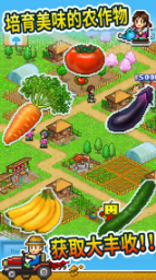 開羅晴空農(nóng)場物語漢化版（2）