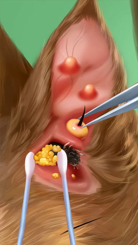 瘋狂醫(yī)院達(dá)什醫(yī)生最新版（4）