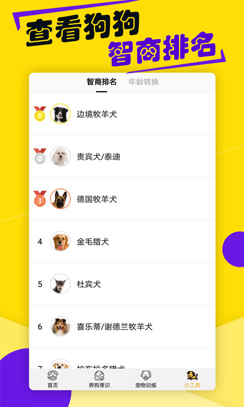 狗語翻譯器網(wǎng)頁版（2）