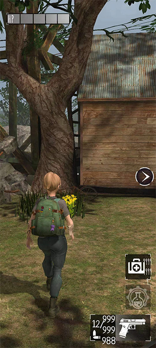 最后的日子（2）