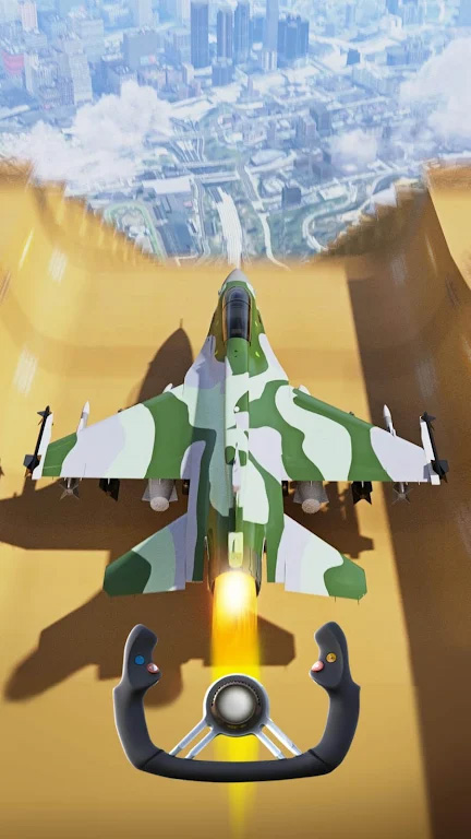 瘋狂的飛機著陸（2）