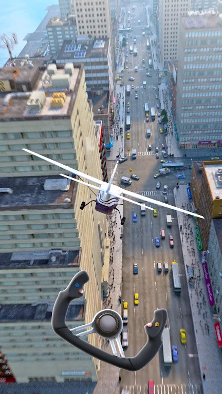 瘋狂的飛機著陸（1）