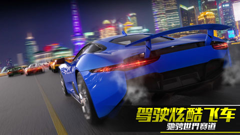 真實(shí)公路漂移（0）