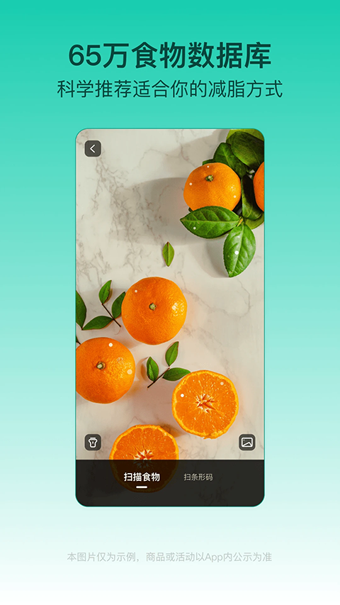 LEFU熱量減肥法（2）