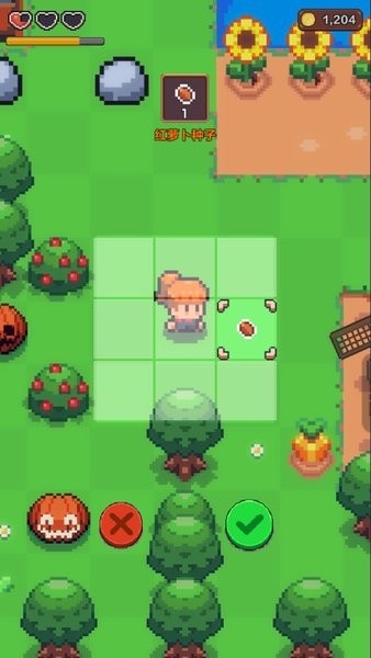 夏日時光探索小島（2）