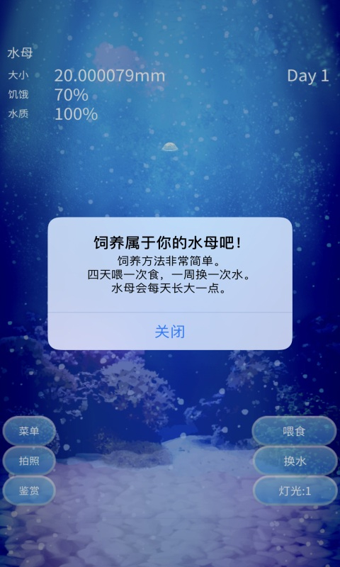 養(yǎng)育水母的治愈（2）