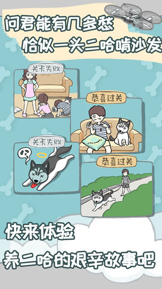 養(yǎng)只二哈不容易（1）