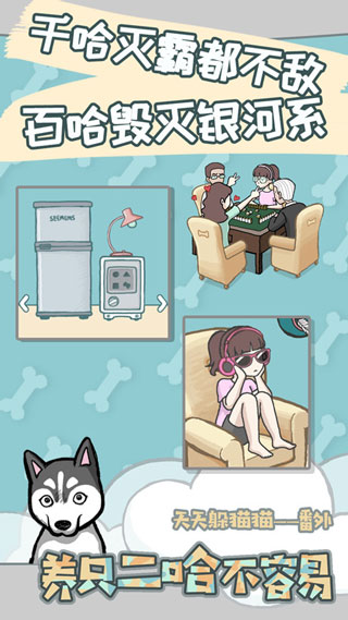 養(yǎng)只二哈不容易（2）